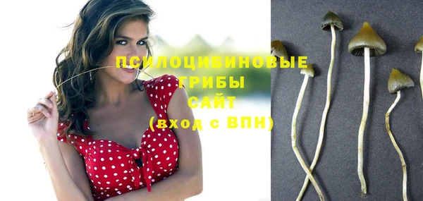 героин Алексин