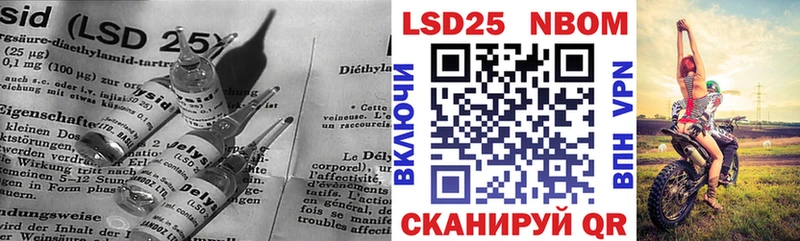 дарнет шоп  Апатиты  Лсд 25 экстази кислота 